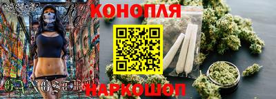 a pvp Новодвинск
