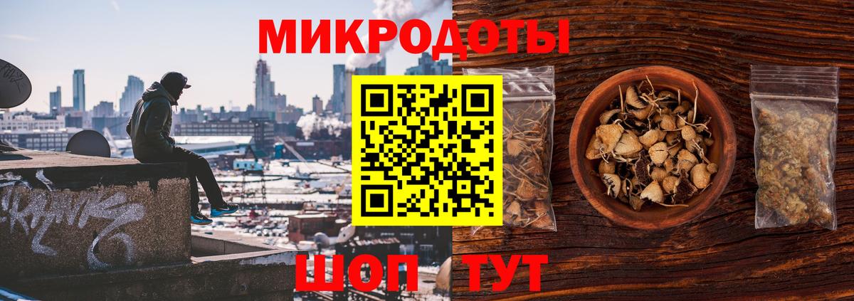 Псилоцибиновые грибы мицелий  Вход с VPN  Псилоцибиновые грибы мицелий  Сосновый Бор 